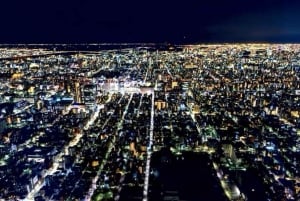 From Tokyo: Tokyo Private Customize Tour With English Driver