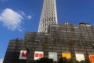 From Tokyo: Tokyo Private Customize Tour With English Driver