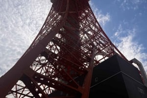 From Tokyo: Tokyo Private Customize Tour With English Driver
