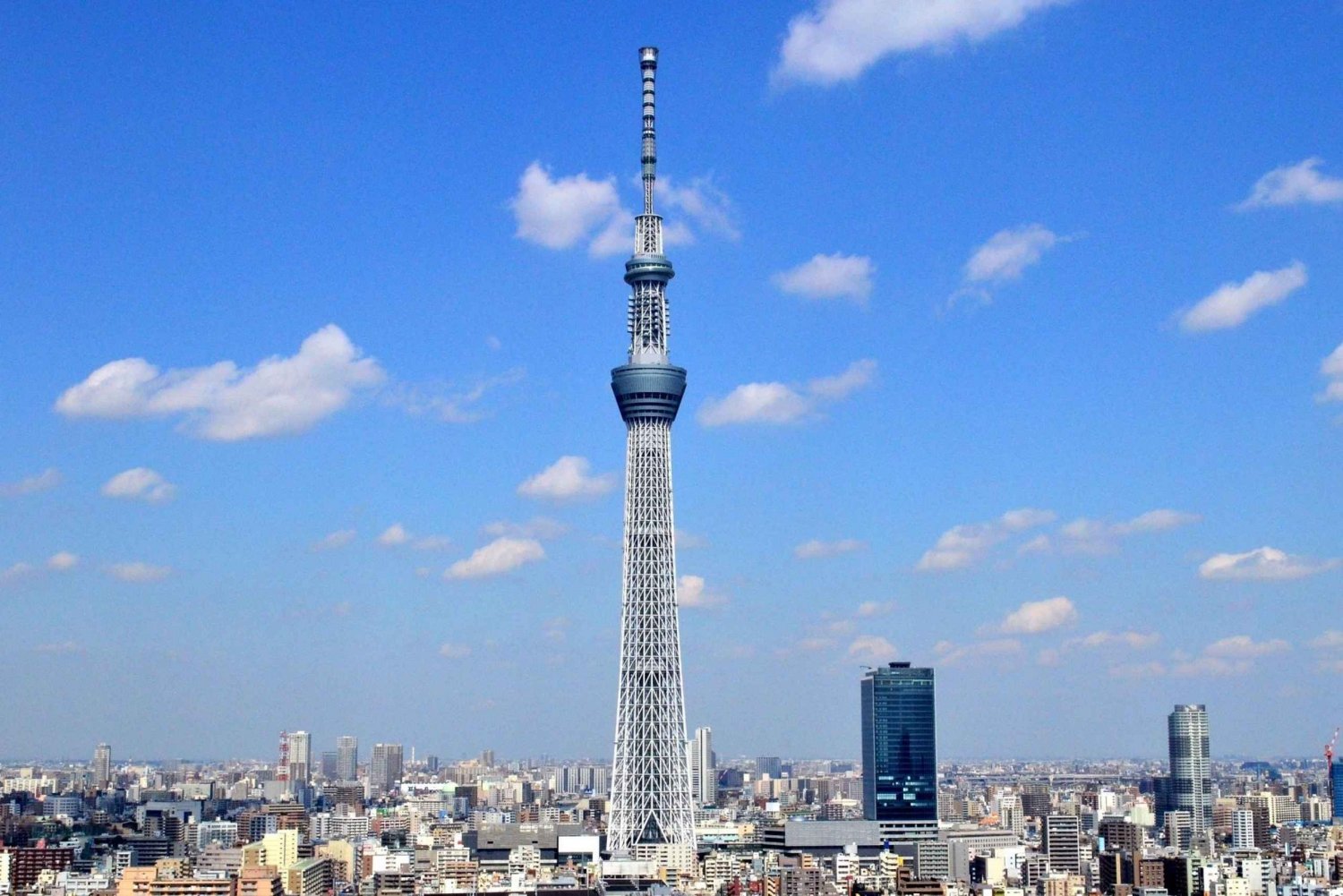 Tokyo: Full-Day Sightseeing Bus Tour