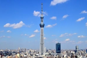 Tokyo - en heldagstur Sightseeing busstur på en hel dag