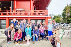 Tokyo - en heldagstur Sightseeing busstur på en hel dag