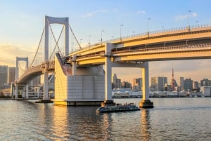 Tokyo - en heldagstur Sightseeing busstur på en hel dag