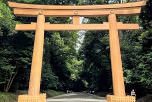 Tokyo - en heldagstur Sightseeing busstur på en hel dag