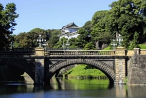 Tokyo - en heldagstur Sightseeing busstur på en hel dag