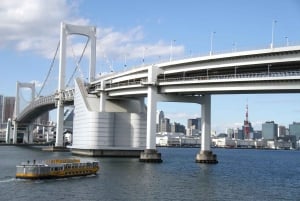 Tokyo - en heldagstur Sightseeing busstur på en hel dag