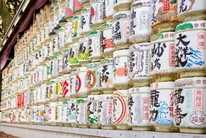 Tokyo - en heldagstur Sightseeing busstur på en hel dag