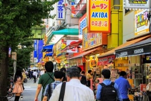 Tokyo - en heldagstur Sightseeing busstur på en hel dag