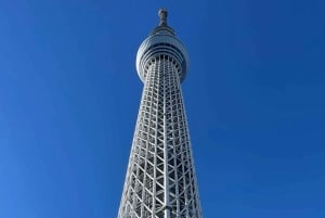 Tokyo - en heldagstur Sightseeing busstur på en hel dag