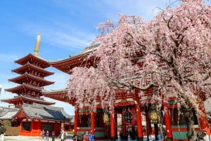 Tokyo - en heldagstur Sightseeing busstur på en hel dag