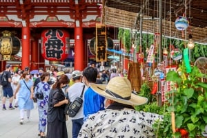 Tokyo - en heldagstur Sightseeing busstur på en hel dag