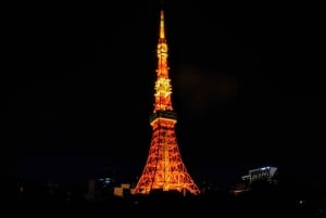 Tokyo - en heldagstur Sightseeing busstur på en hel dag