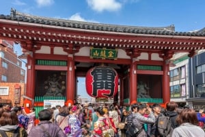 Tokyo - en heldagstur Sightseeing busstur på en hel dag