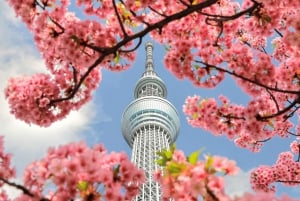 Tokyo - en heldagstur Sightseeing busstur på en hel dag