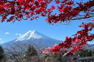 Tokyo: Full-day Tour of the Four Majestic Spots of Mt Fuji