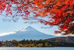 Tokyo: Full-day Tour of the Four Majestic Spots of Mt Fuji