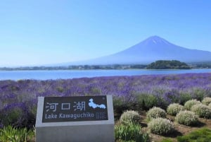 Tokyo: Full-day Tour of the Four Majestic Spots of Mt Fuji