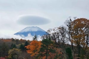 Tokyo: Full-day Tour of the Four Majestic Spots of Mt Fuji