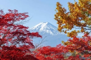 Tokyo: Full-day Tour of the Four Majestic Spots of Mt Fuji