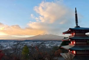 Tokyo: Full-day Tour of the Four Majestic Spots of Mt Fuji