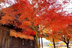 Tokyo: Full-day Tour of the Four Majestic Spots of Mt Fuji