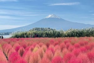 Tokyo: Full-day Tour of the Four Majestic Spots of Mt Fuji