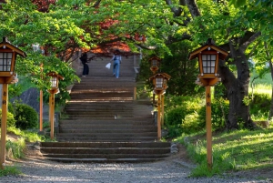 Tokyo: Mt. Fuji 6 Attractions: Lake Kawaguchi, Oshino Hakkai