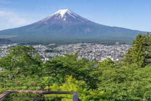 Tokyo: Mt. Fuji 6 Attractions: Lake Kawaguchi, Oshino Hakkai