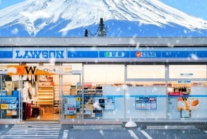 Tokyo: Mt. Fuji 6 Attractions: Lake Kawaguchi, Oshino Hakkai