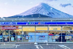 Tokyo: Mt. Fuji 6 Attractions: Lake Kawaguchi, Oshino Hakkai