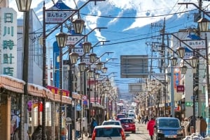 Tokyo: Mt. Fuji 6 Attractions: Lake Kawaguchi, Oshino Hakkai