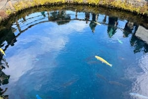 Tokyo: Mt. Fuji 6 Attractions: Lake Kawaguchi, Oshino Hakkai