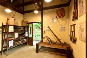 Полный день экскурсии по живописным местам горы Фудзи