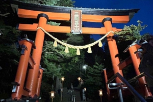 Tour privato di un giorno sul Monte Fuji da Tokyo personalizzabile