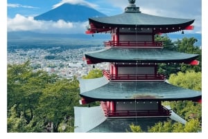 Tour privato di un giorno sul Monte Fuji da Tokyo personalizzabile