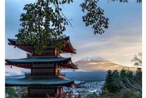 Tour privato di un giorno sul Monte Fuji da Tokyo personalizzabile