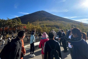 Tour privato di un giorno sul Monte Fuji da Tokyo personalizzabile