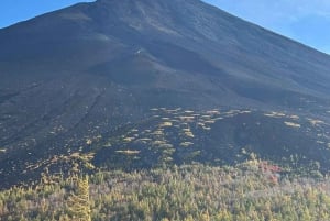 Tour privato di un giorno sul Monte Fuji da Tokyo personalizzabile