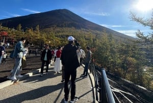 Tour privato di un giorno sul Monte Fuji da Tokyo personalizzabile