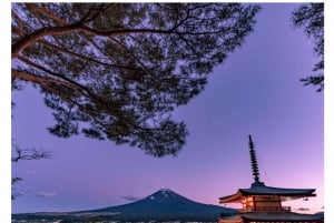 Tour privato di un giorno sul Monte Fuji da Tokyo personalizzabile