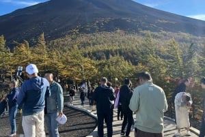 Tour privato di un giorno sul Monte Fuji da Tokyo personalizzabile