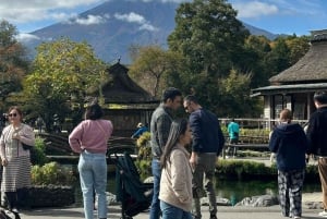 Tour privato di un giorno sul Monte Fuji da Tokyo personalizzabile