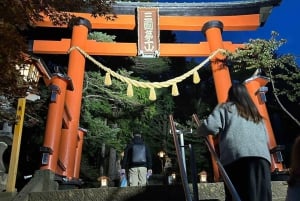 Tour privato di un giorno sul Monte Fuji da Tokyo personalizzabile