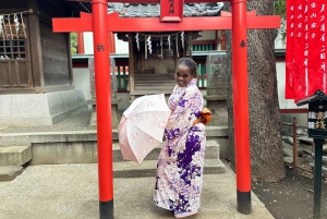 Tokyo:Genuine Tea Ceremony, Kimono Dressing, and Photography