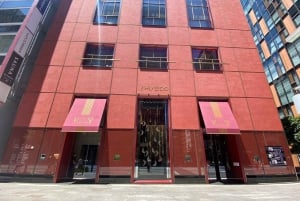 Tokio: Tour zu Secondhand-Luxusgeschäften in Ginza und zum Shiseido-Museum