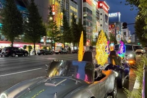 Tokio: Akihabara Go-Karting Tour (mit Guide)