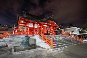 Privat kvällstur med barrunda i Shinjuku Golden Gai