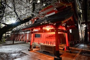 Privat kvällstur med barrunda i Shinjuku Golden Gai