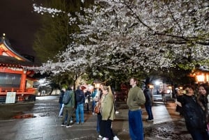 Privat kvällstur med barrunda i Shinjuku Golden Gai