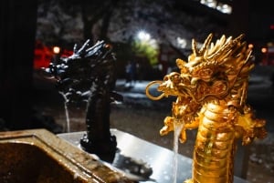 Privat kvällstur med barrunda i Shinjuku Golden Gai